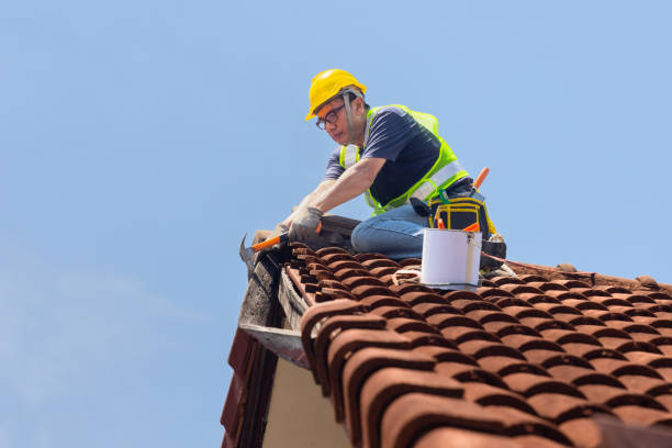 Best Roof Maintenance and Cleaning  in Brackenridge, PA